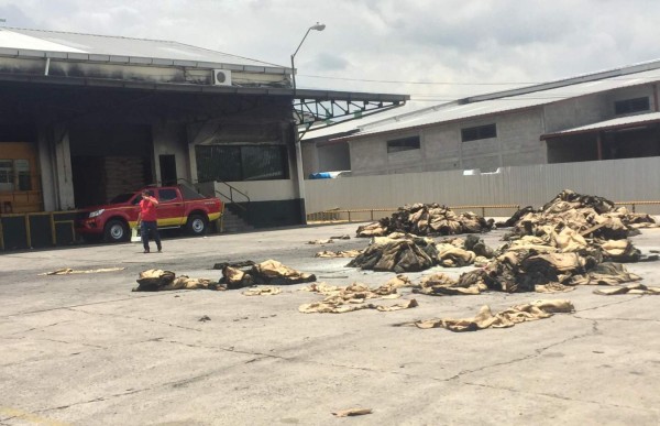 Incendio consumió el 10% de la bodega de sacos de café