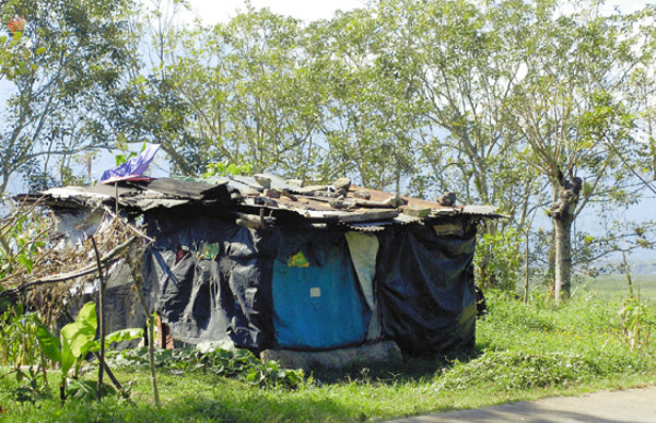 Invaden humedales del Lago de Yojoa