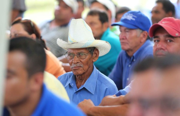 Listo fideicomiso que reactiva agro hondureño