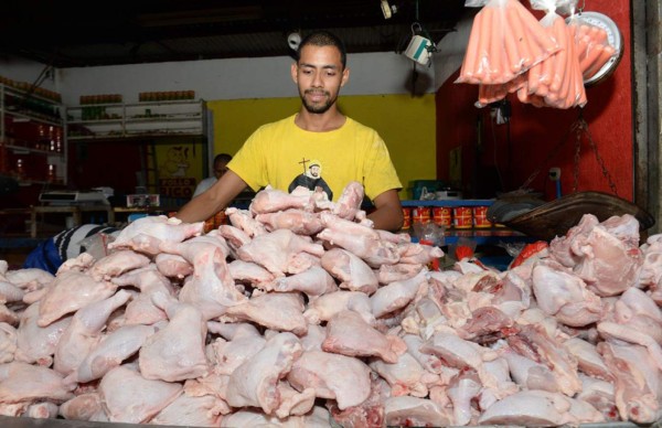 Esperan comenzar a exportar pollo a EEUU a finales de año