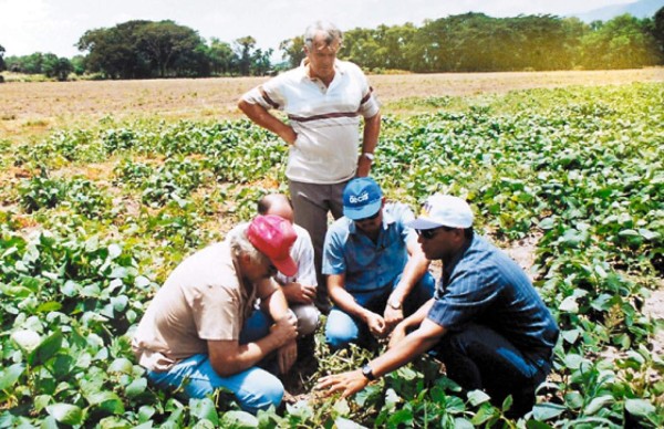 Muere entomólogo que trajo los gecos