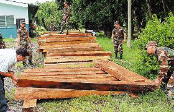 Decomisan 3,500 pies de madera de color