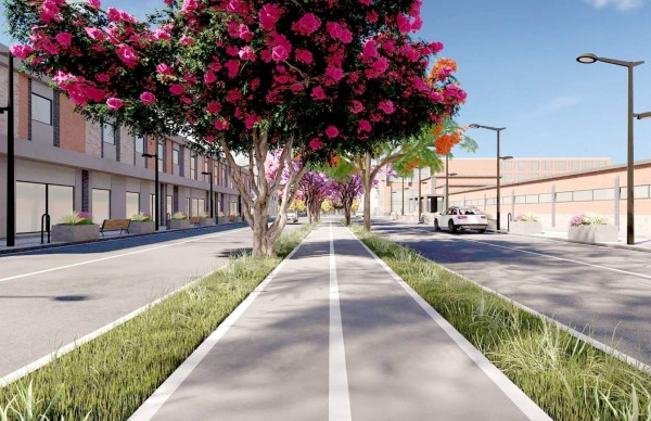 Más sectores rechazan reformas que amplían los beneficios a las Zede