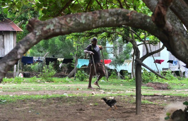 Disabled diver Jaime Lemus Matute, 60, makes his way back home aided by a makeshift walking stick in Prumnitara, Puerto Lempira, Honduras, on July 8, 2019. - Thousands of fishing divers of the Mosquitia region, where lobster diving industry is the most important incoming for the economy, suffer decompression sickness that can cause pain in the muscles and joints, cramps, numbness, nausea, permanent paralysis and even death. (Photo by Orlando SIERRA / AFP)