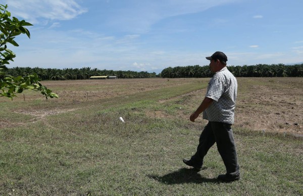 ONU dona a Honduras L55 millones tras efectos de la sequía