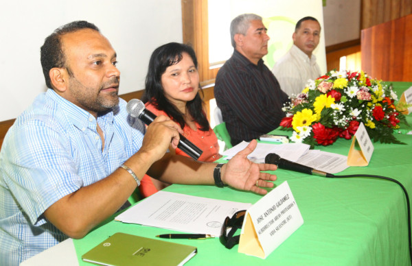 Imparable la tala ilegal de bosque