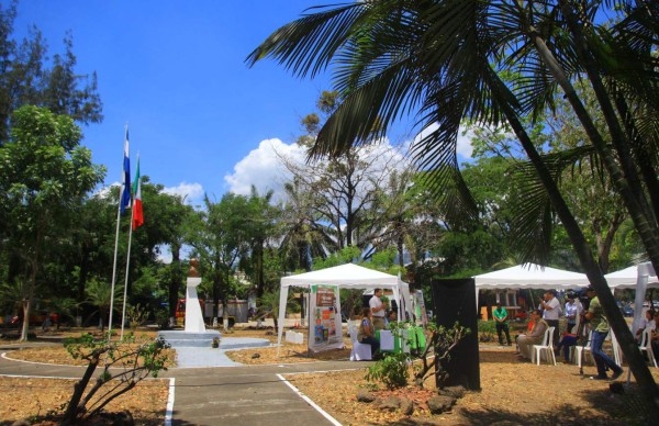 Plantarán unos 40 mil árboles de caoba en San Pedro Sula