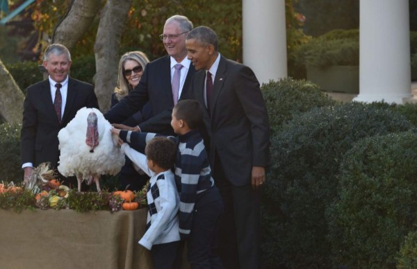 Obama salva a un pavo en su último Acción de Gracias como presidente