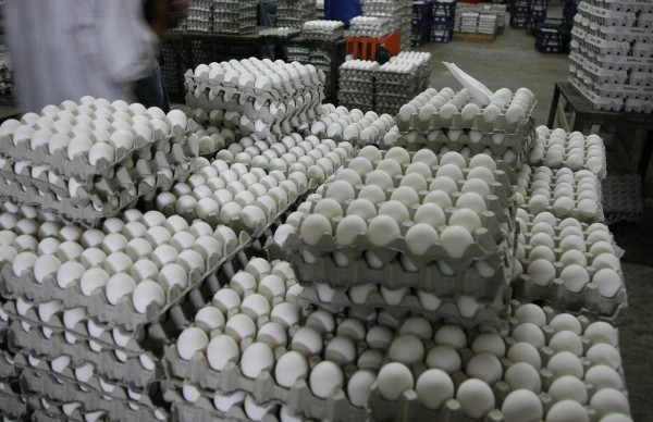 Gobierno convoca miembros de la cadena del huevo para revisar precios