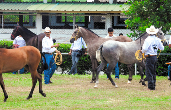 De fiesta por feria juniana en San Pedro Sula