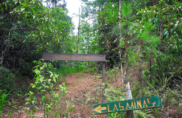 Embellecerán el parque nacional El Cusuco