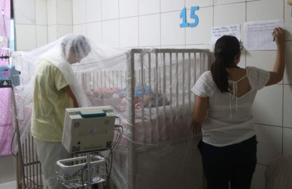 Se elevan a ocho los fallecidos por dengue grave en Honduras en 2020
