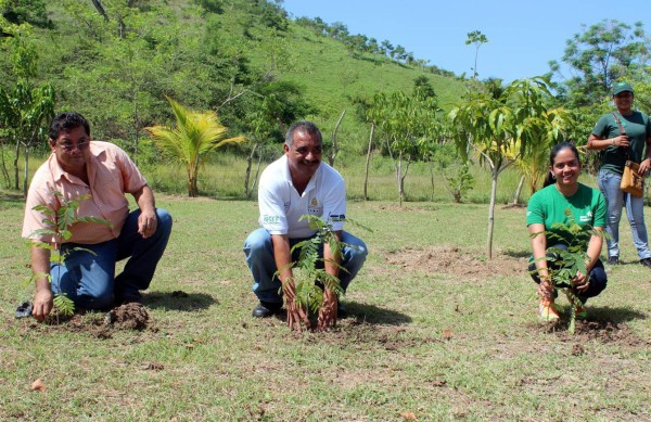 Se unen para proteger el bosque y fuentes de agua de Villanueva