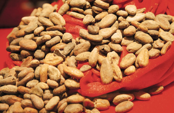 El chocolate amargo conquista paladares