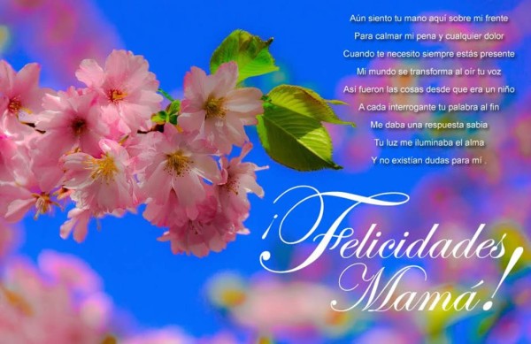 Bellas frases y poemas para Mamá