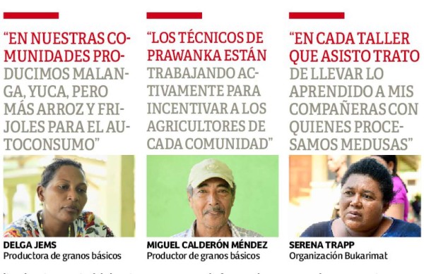 La Mosquitia en ruta al desarrollo sostenible