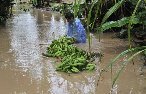 Temporales en Bolivia dejan 38 muertos y más de 44.000 familias afectadas
