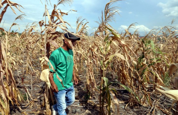 Comisión define la hoja de ruta para financiamientos