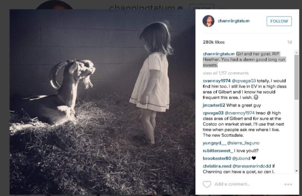 Channing Tatum rinde homenaje a su cabra fallecida