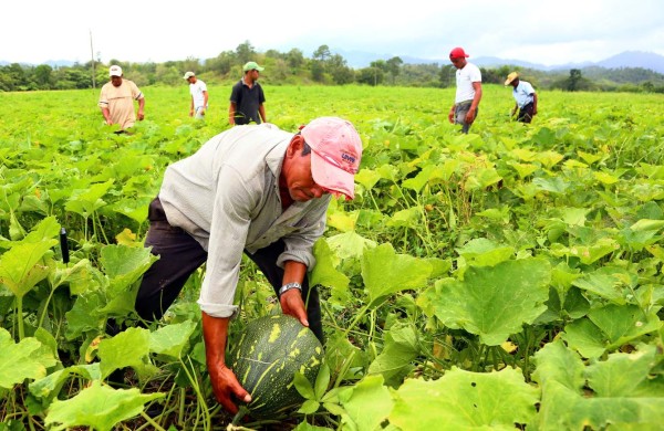 Impulsan proyecto de turismo rural en Honduras