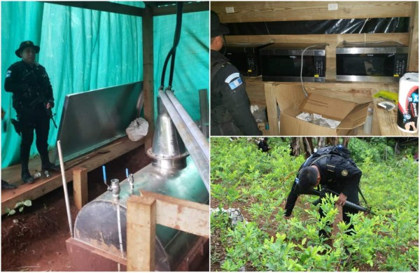 Guatemala: descubren un laboratorio de droga y una plantación de cocaína