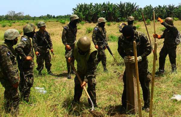 Destruyen tres de seis narcopistas en Cortés, Honduras