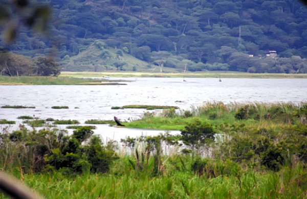 Las noticias más relevantes del Valle de Sula en 2010