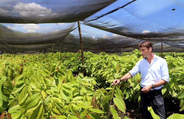 Productores se entusiasman con el Instituto Hondureño del Cacao