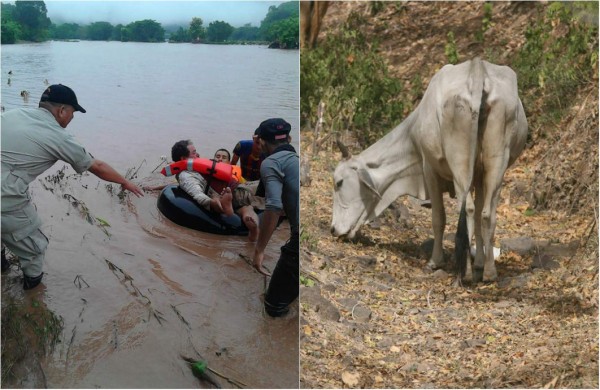 Se unen ante embates del cambio climático