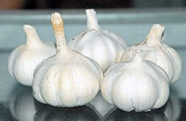 Ajo, un alimento milagroso