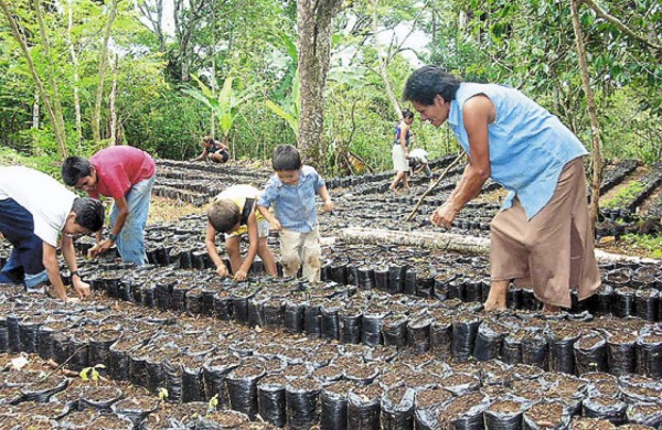 Crearán unidad de asistencia a campesinos