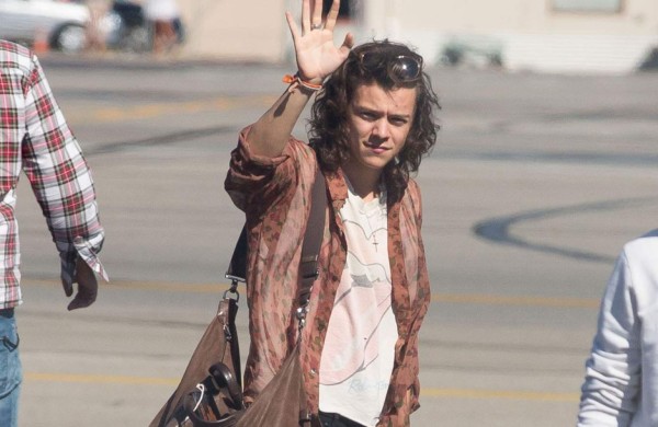 Harry Styles le 'teme' a sus fans