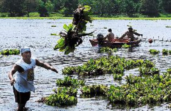 Reanudan labores en Jucutuma