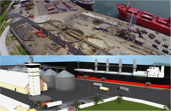 Hasta L3 millones de recargo pagan graneleros por atrasos