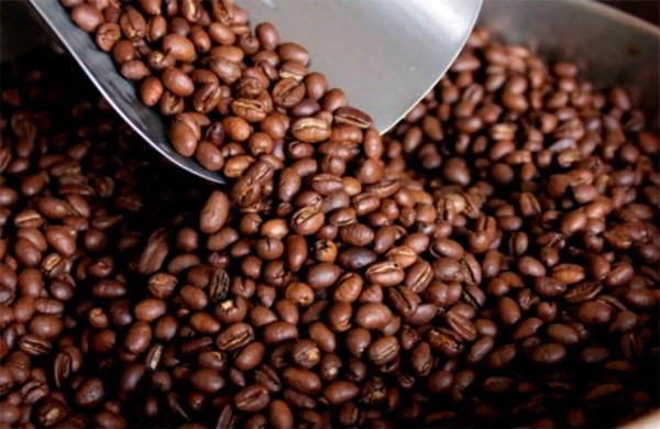 Honduras exporta 439,2 millones de dólares en café, 3% menos que cosecha pasada