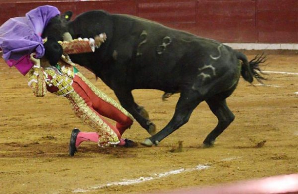 Video: Torero recibe impresionante cornada en México