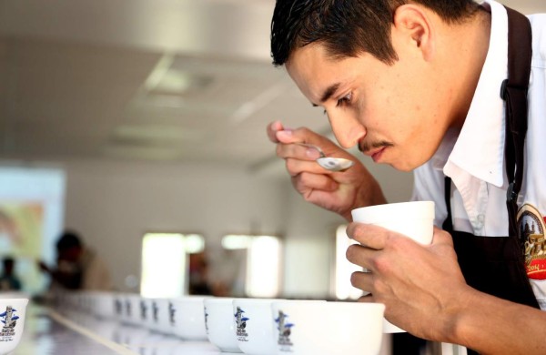 Rúber, el mejor catador de café en Honduras