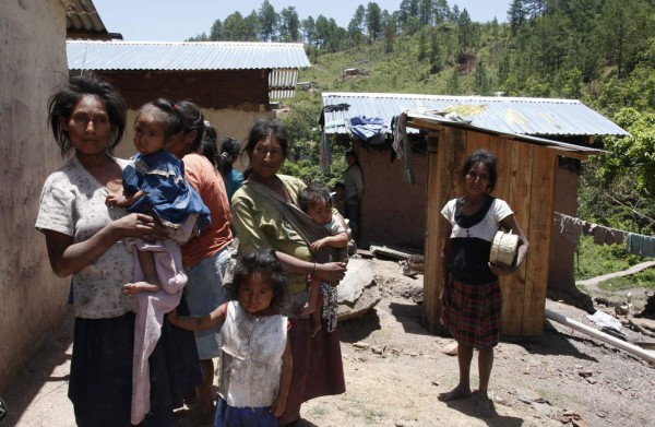 Condenados al olvido, tolupanes luchan por sobrevivir en la Montaña de la Flor