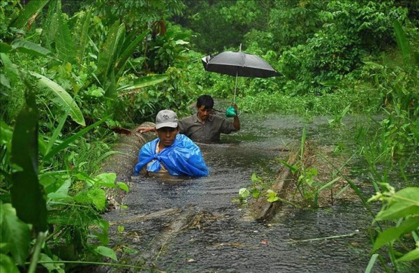 Cambio climático y manejo del agua, retos de Honduras