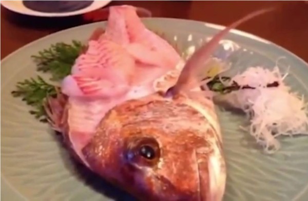 ¡Terrorífico! Pez que era comido salta del plato