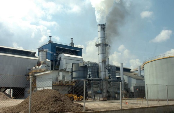 Azucareros prevén 50% más exportaciones en próxima zafra