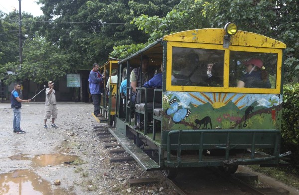 Cuero y Salado, el apasionante edén de las aves en Honduras