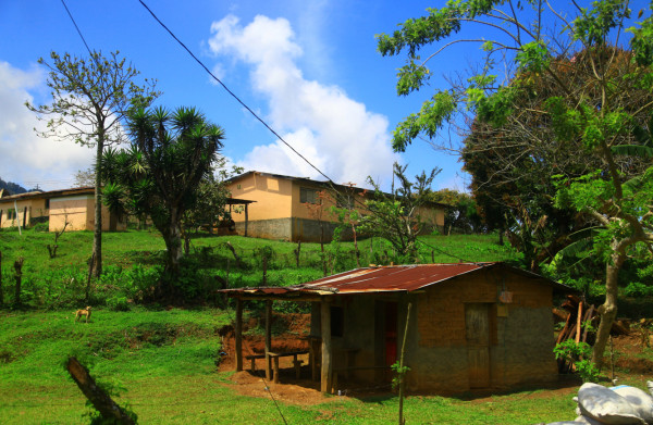 Explore el Cusuco, la joya natural que encuentra en El Merendón