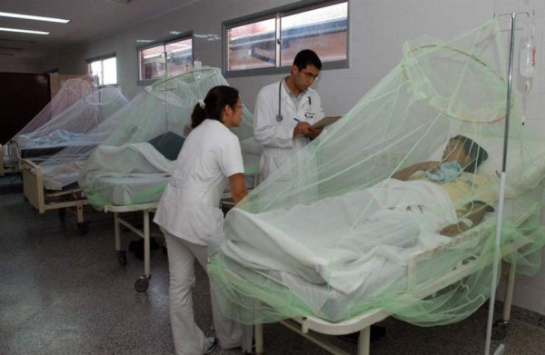 Médicos Sin Fronteras apoyará el combate a la epidemia de dengue en Honduras