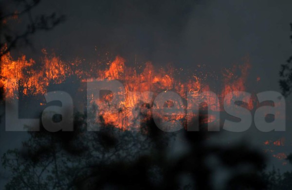 Voraz incendio en El Hatillo amenaza a pobladores de Tegucigalpa