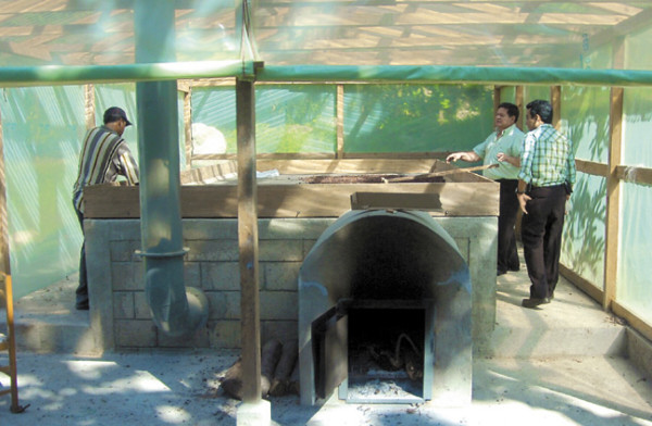 Cacao hondureño alcanza calidad de exportación