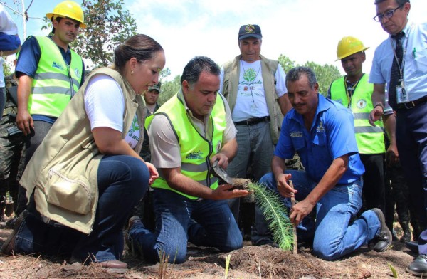 Cerrarán 2019 con un millón de árboles en El Merendón