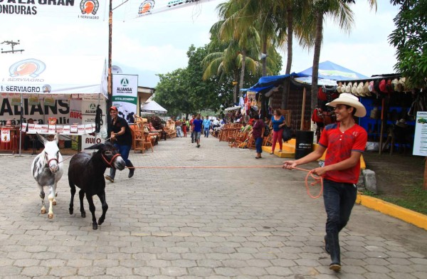 Esperan 180 mil visitantes en Agas y Expocentro