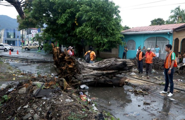 Limpieza de canales evitó inundaciones en las zonas bajas de San Pedro Sula