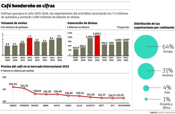 El 60% del café hondureño de exportación ya se cultiva arriba de los 600 metros